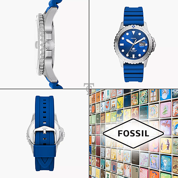 FOSSIL FS5998 portré kép